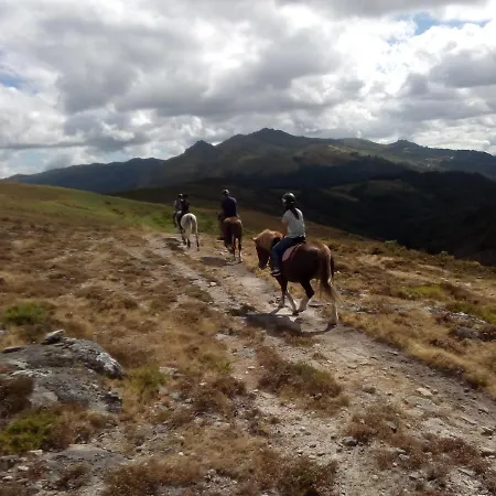 Casa Do Mestre By Casas * Geres