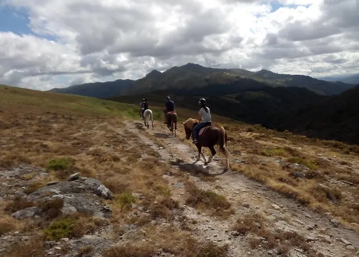 Casa Do Mestre By Casas * Geres